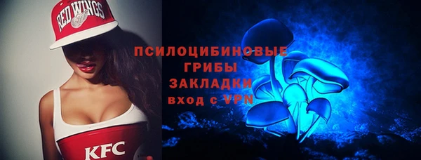 сатива Лихославль