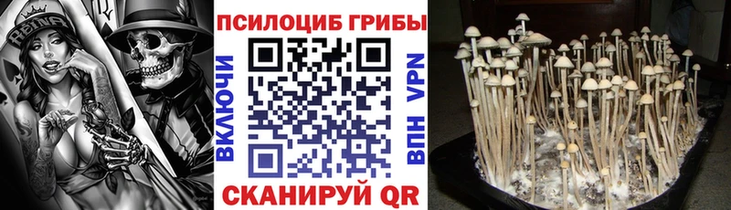 Псилоцибиновые грибы Psilocybe  shop клад  Весьегонск 